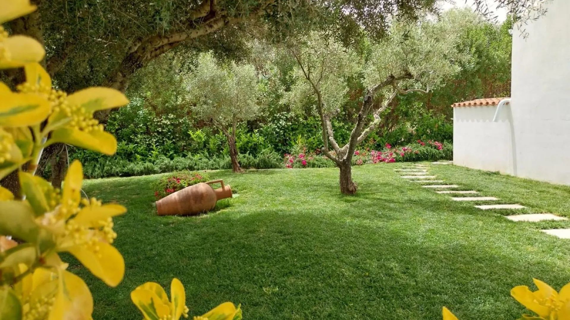 מונטי Green Paradise