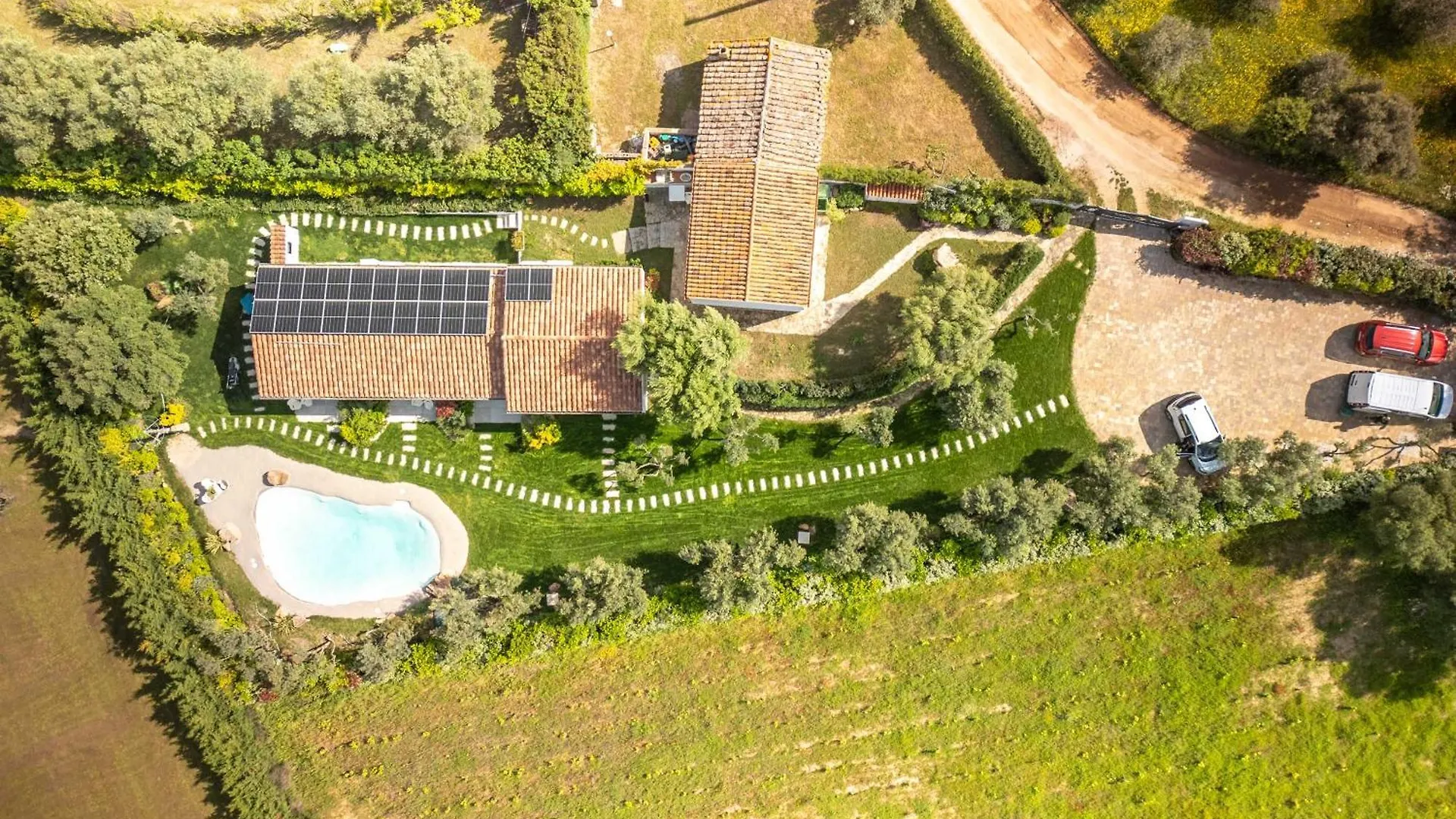 מונטי Green Paradise