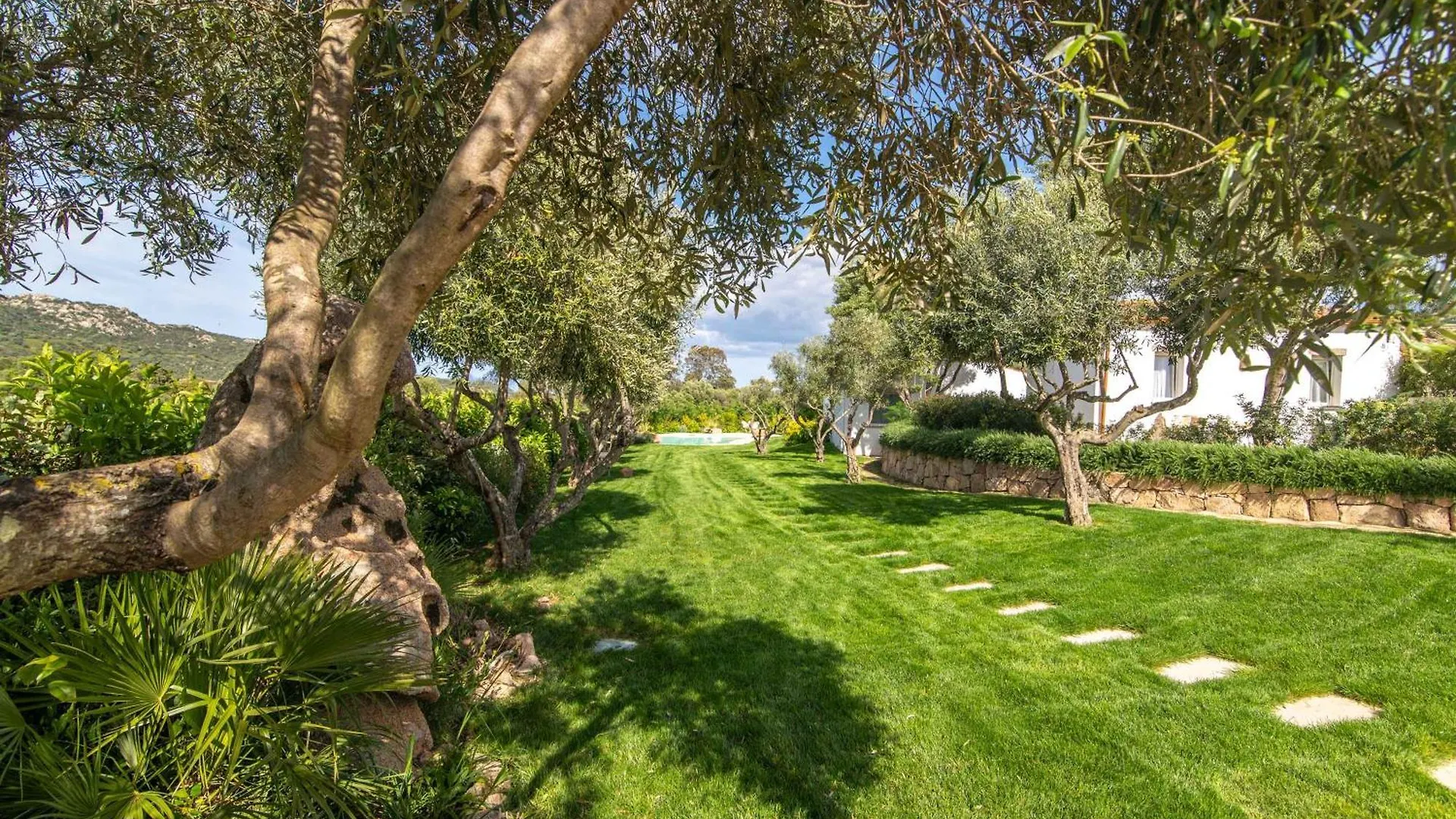מונטי Green Paradise בית נופש